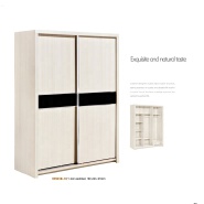 New Double Color Wardrobe Design Furniture Bedroom