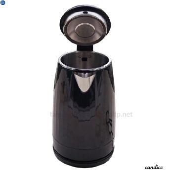 Double wall electric kettle