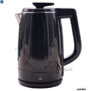 Double wall electric kettle