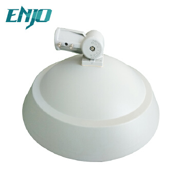 Professional supply 45 w house hps street light