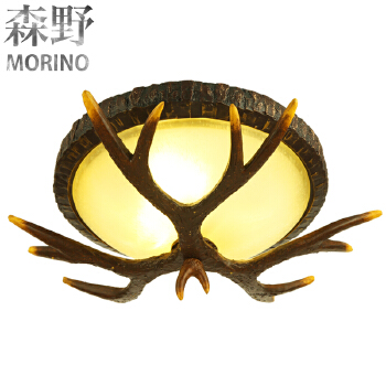 Wholesale decorative hanging ceiling light modern