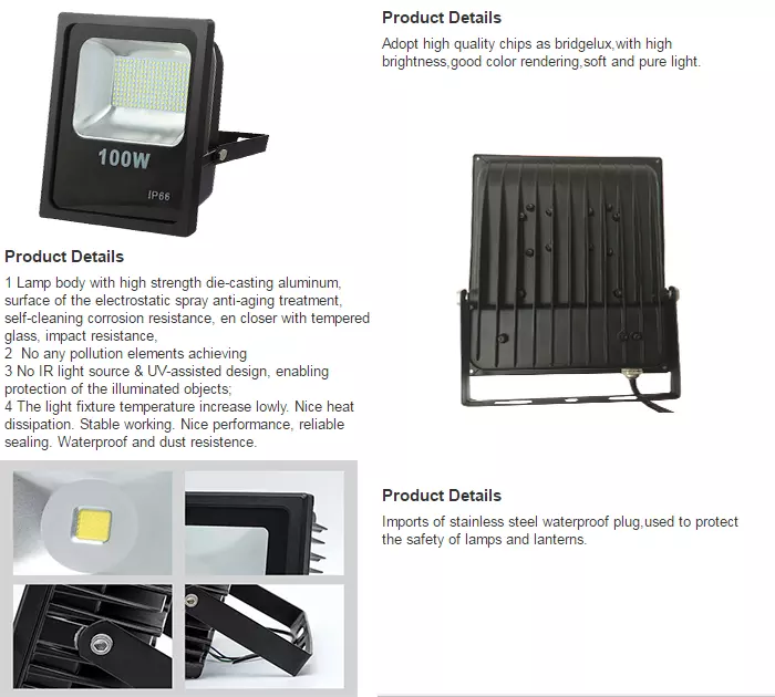 High Waterproof Ip66 Bridgelux Chip 100W Led Flood Light For Outdoor Building