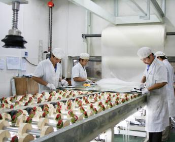 SHENZHEN  LIAOYUAN  GLASS CO., LTD.