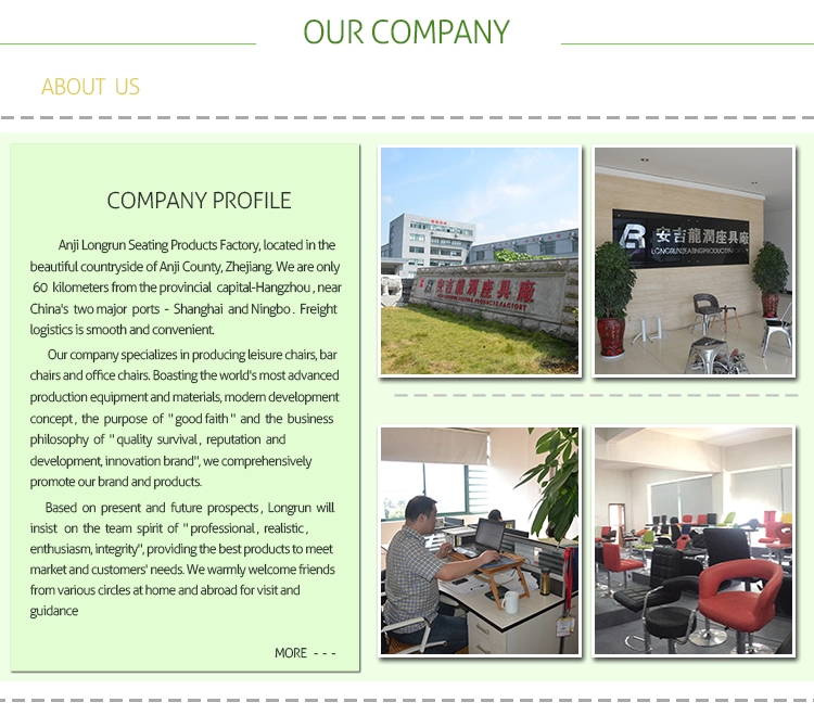 Sturdy and cosy wholesale home center bar stool with stainless steel armrest