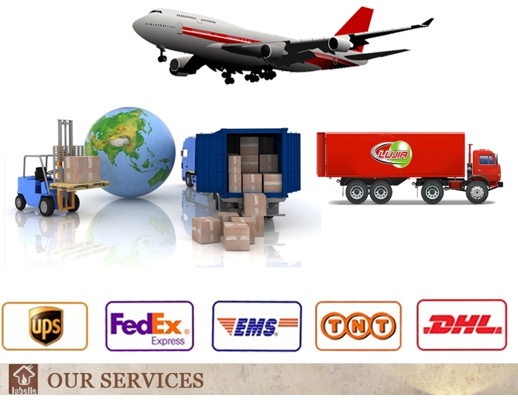 Hot Sale Simple Modern Style Fabric Wooden Bunk Bed