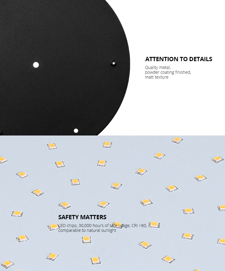 Savia ceiling lamp 220-240V 24/30/40W SMD mounted ceiling light led in round shape for home and office wholesales in black