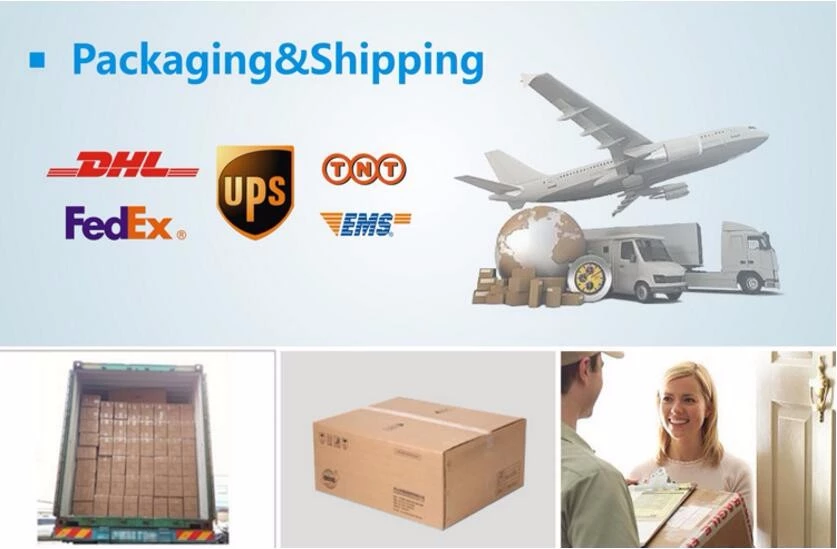 Led Indoor Mini Jewelry Shop/Coffee Store/Reading Room cob Mini Focus Spot Lights