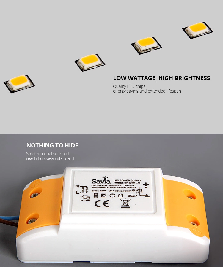 Savia NEW product hall and bathroom indoor multi color aluminium LED round ceiling light 24W 40W Modern fpr home and wholesales