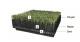 Simulation lawn Artificial grass SJWMG-5C21-1-4-35