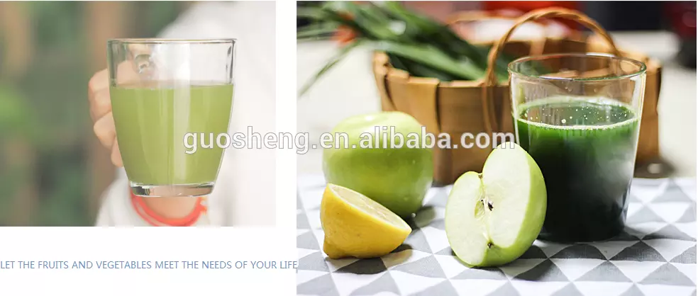 hot selling household slow speed fruit and vegetable juicer