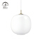 Creative Modern Decorating Indoor Iron Glass Hanging Chandelier Lamp 