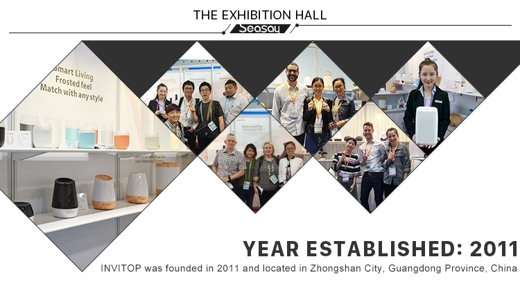 Portable Humidity Control Air Dehumidificador Electronic Dehumidifier For Home