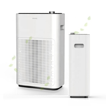 200 CADR Anion Hepa Filter Air Purification Portable Pm2.5 Home Use Air Purifier 