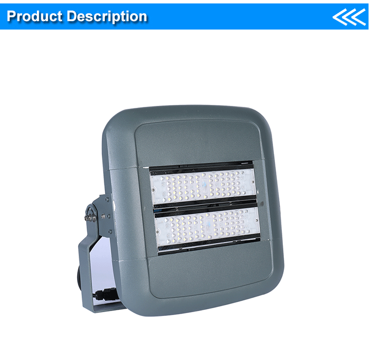 new product CE/RoHS 100 watt 100w  led flood light