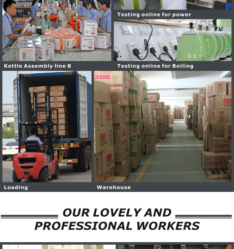 2017 High quality Kitchen Appliance Electric stainless steel multi-functional cooking noodle pot