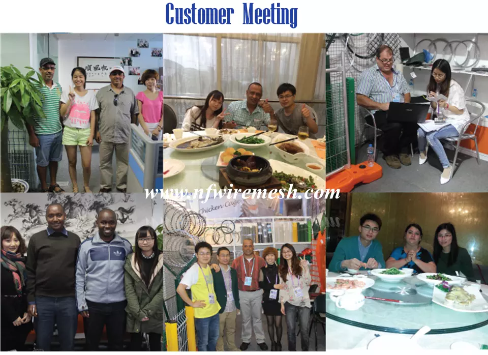 Welded Spear Wrought Iron Picket Fence Steel Removable High Picket Fence(Guangzhou Factory)