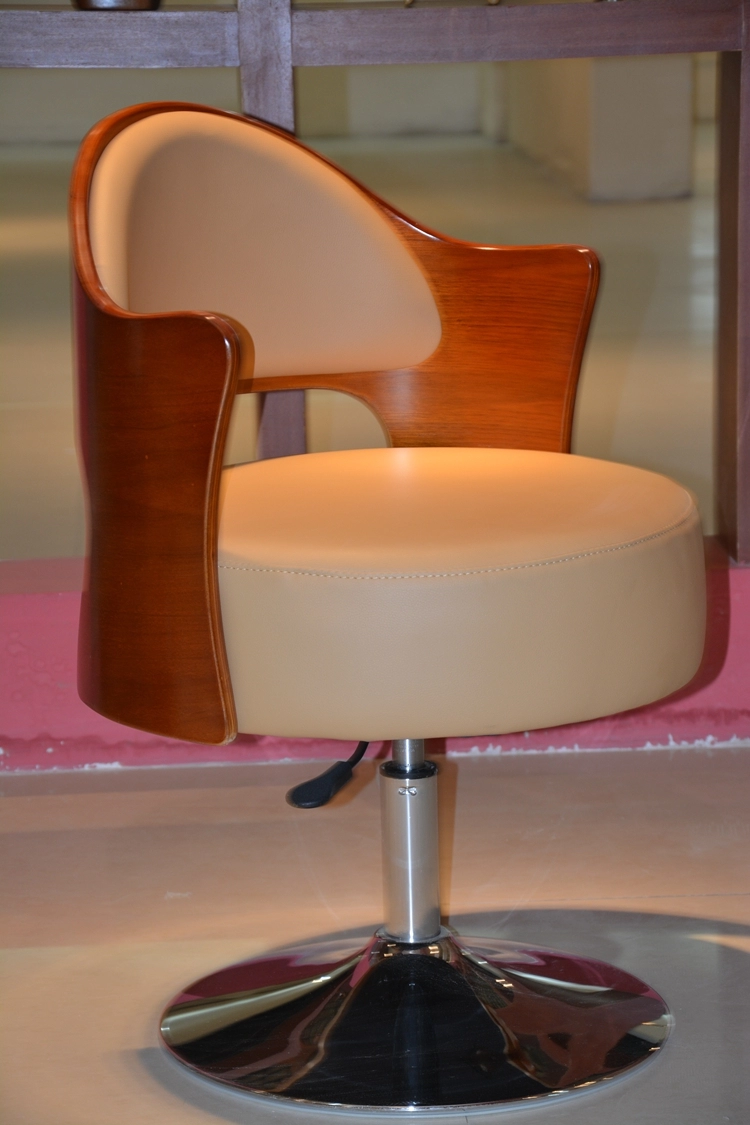 Fashion household leisure chair bentwood high chair bar lifting chair