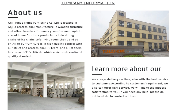 European Style fashion design home lobby fabric accent chair