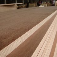 19mm plywood,mahogany wood price,ply board 