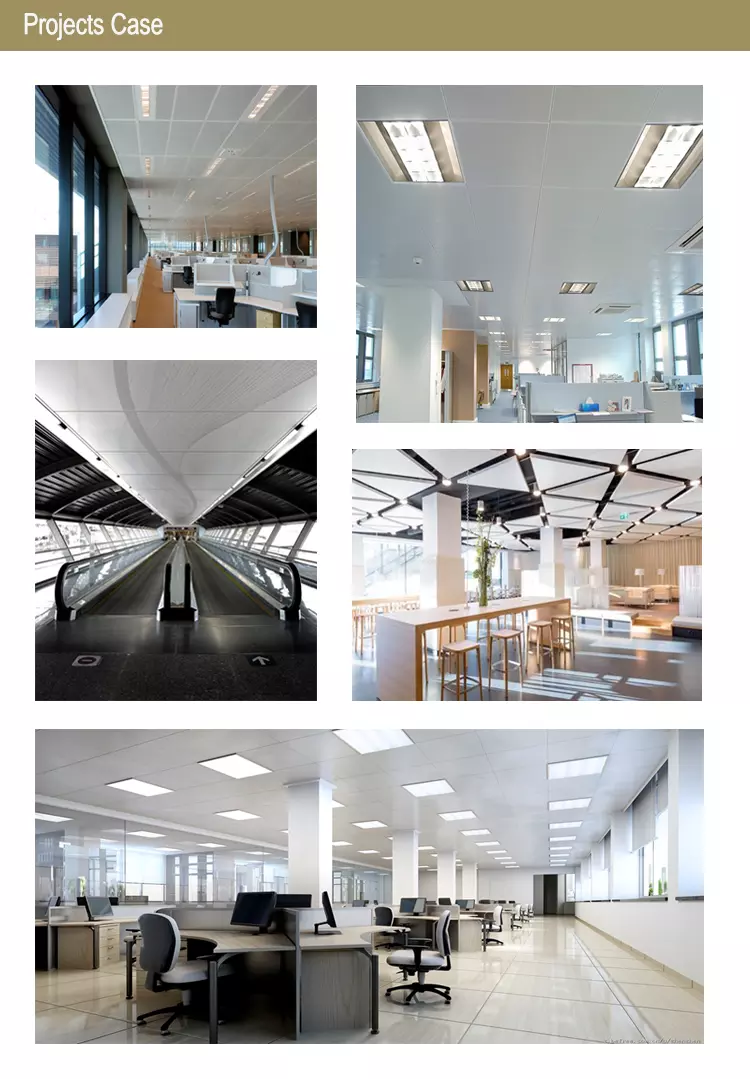 Fashionable perforated suspended metal ceiling tiles for Stadiums
