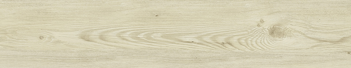 GOODS1_EN_1549526748.jpg