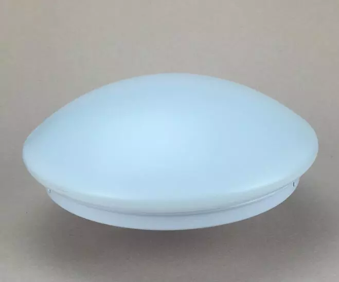 hot sale 18w Induction ceiling lamp home light