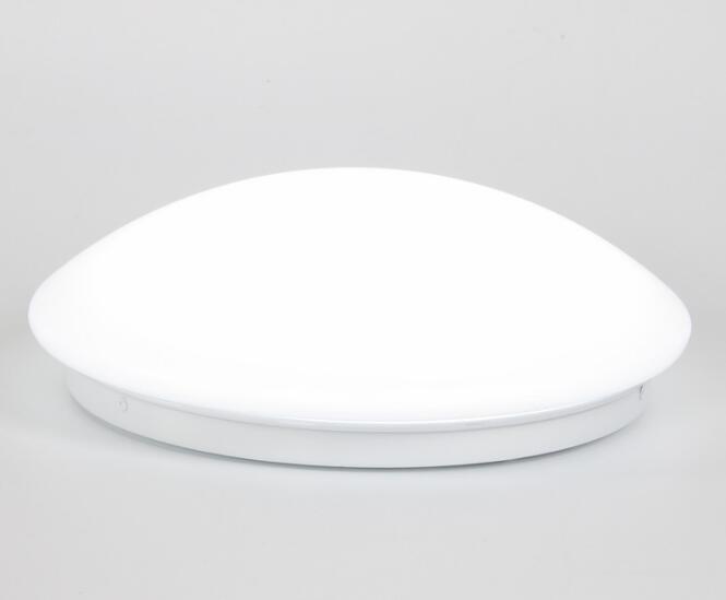 hot sale 18w Induction ceiling lamp home light
