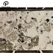 Snow Mountain Sliver Fox Big Marble Slab 