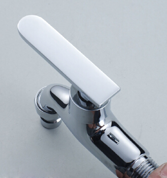 SKL-317 Casting push water single lever bibcock with tap 