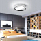 Home Decorative Fancy Living Room Bedroom Lights Modern Ceiling Light Fixtures China Ceiling Lamp