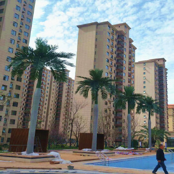 室外仿真大王椰子树