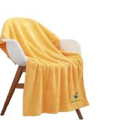 Wholesale Bathroom Supplies High Quality Ultra Soft Hotel Bath Towels