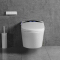 ceramic toilet sanitary ware toilet ceramic two-piece toilet