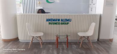 anmaw alemu business group office reception 