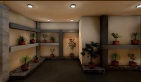 Mr. M. House Interior  Plant Area 